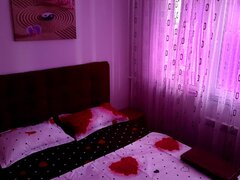 Dimitrie Cantemir, stradal, regim hotelier